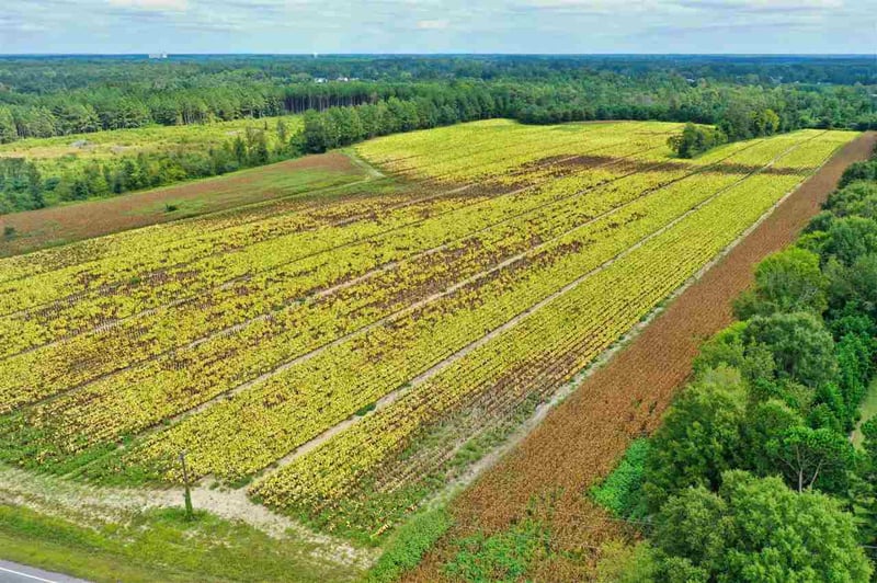 3770 Us 70 Business Hw Lot n/a, Clayton, NC 27520