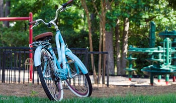 38 Brown Bear, Chapel Hill, NC 27517