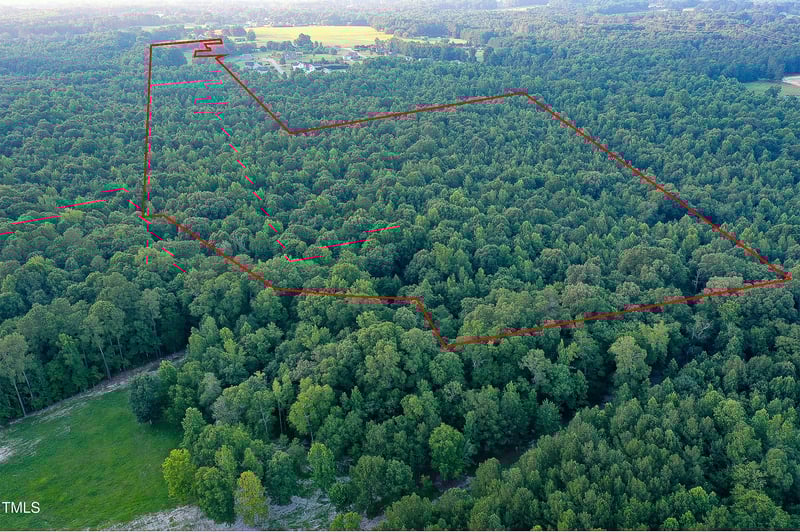 38.2 Acres Wiggins Rd, Angier, NC 27501