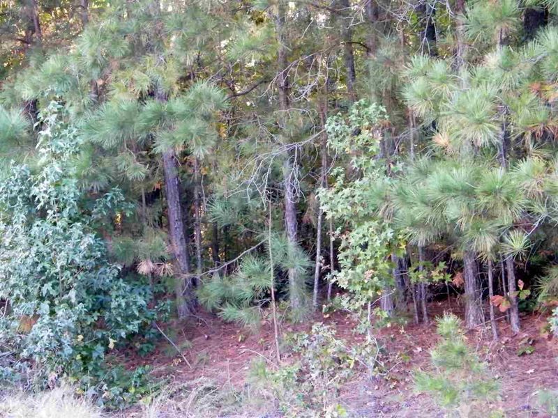 3808 La Varra Dr Lot 8, Clayton, NC 27520