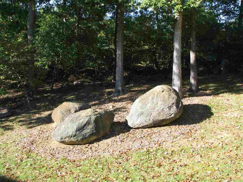381 Chatham Forest Dr, Pittsboro, NC 27312