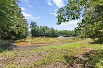 3820 Amelia Park Dr, Raleigh, NC 27606