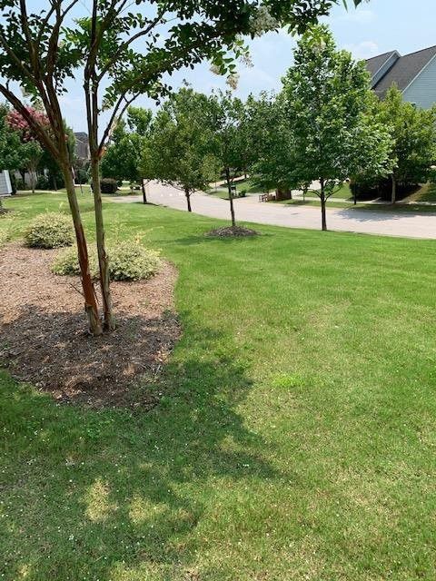 3821 Crimson Clover Ave, Wake Forest, NC 27587