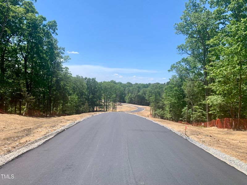 383 Firefly Overlook Lot 8, Pittsboro, NC 27312