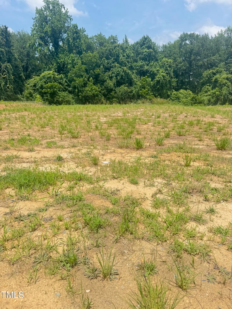 383 Hopewell Branch Ct, Smithfield, NC 27577