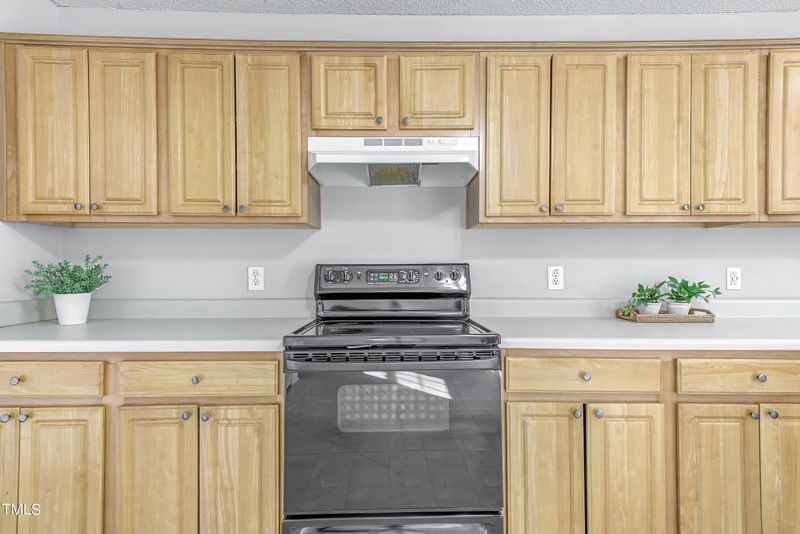 383 Rosa Cir, Willow Springs, NC 27592