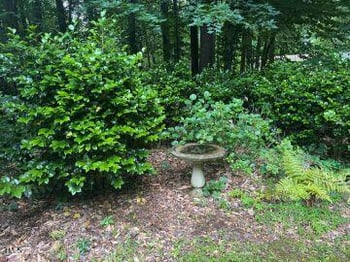 3833 Hidden Branches Dr, Raleigh, NC 27613