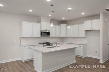 3833 Well Fleet Dr, Willow Springs, NC 27592