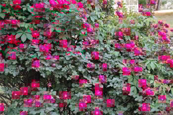 3839 Avents Ferry Rd, Sanford, NC 27330