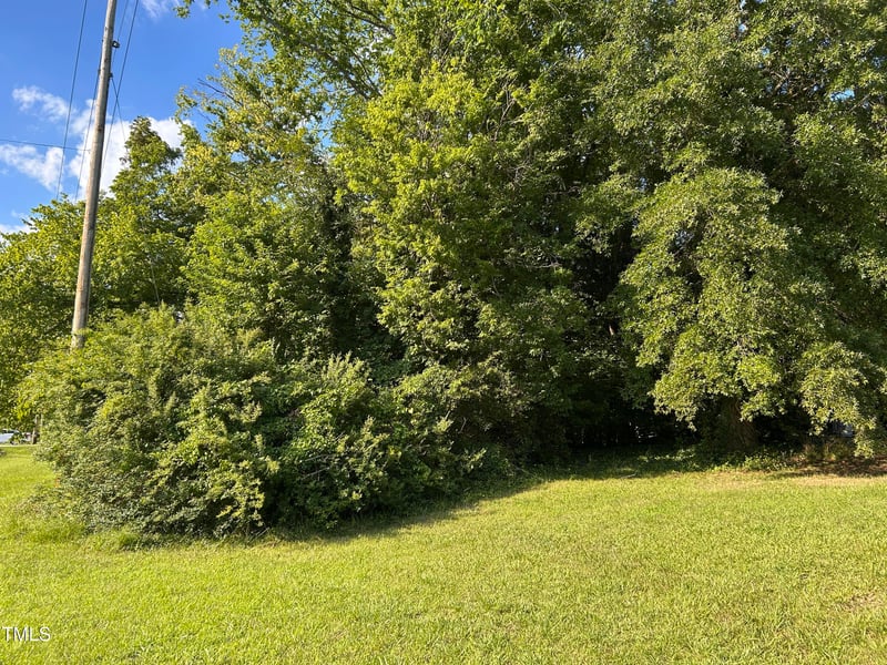 384 Bickett Blvd, Louisburg, NC 27549