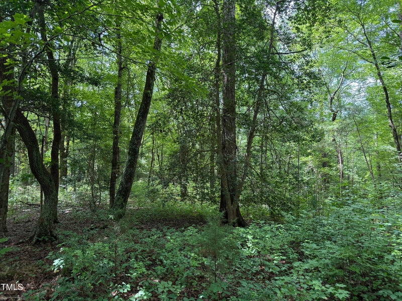 3847 Furrow Ln, Franklinton, NC 27525
