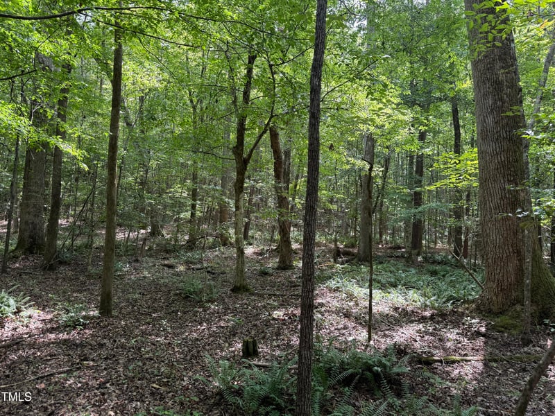 3848 Furrow Ln, Franklinton, NC 27525