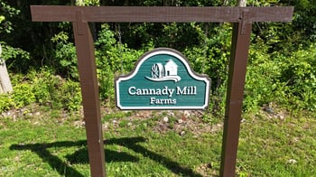 3848 Furrow Ln, Franklinton, NC 27525