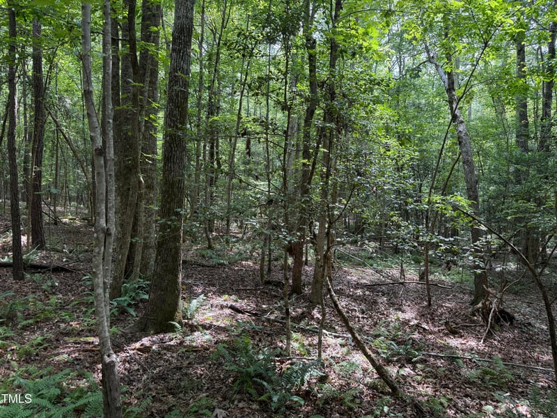 3848 Furrow Ln Lot 14, Franklinton, NC 27525