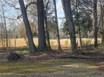 387 Loblolly Dr, Vass, NC 28394