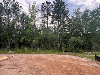 3870 Black Hills Rd, Fayetteville, NC 28311