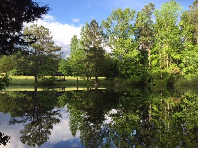 39 Tisbury Ct, Pittsboro, NC 27312