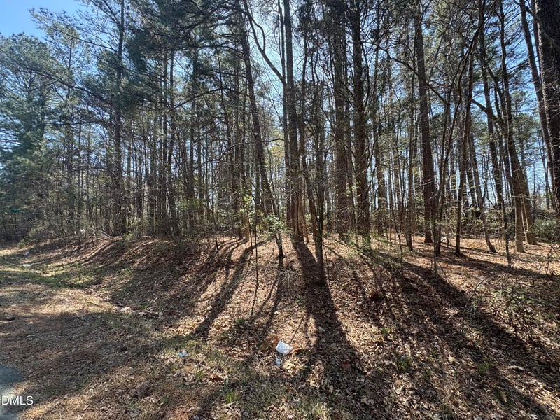 3900 Mary Martin Rd, Durham, NC 27703