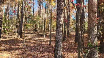 3901 Langston Cir Lot 2, Apex, NC 27539