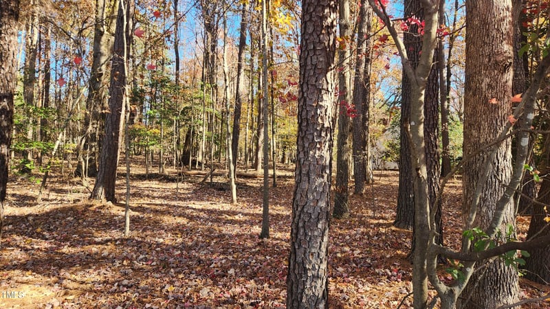 3901 Langston Cir Lot 2, Apex, NC 27539