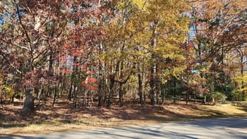 3901 Langston Cir Lot 2, Apex, NC 27539