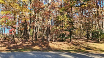 3901 Langston Cir Lot 2, Apex, NC 27539