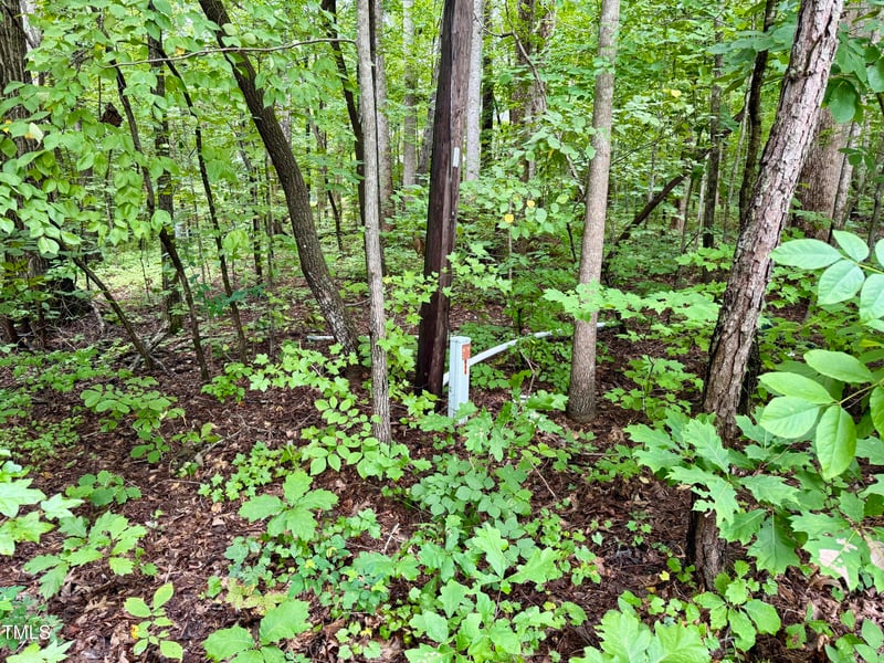 3901 Old Nc 86 Lot none, Hillsborough, NC 27278