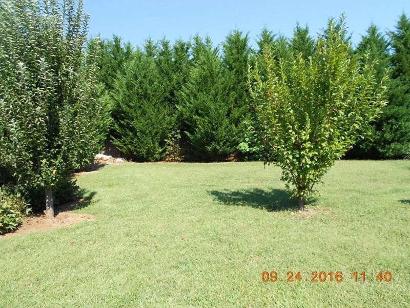 3909 Grace Meadow, Mebane, NC 27302
