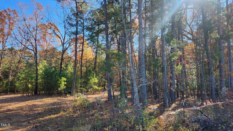 3909 Langston Cir, Apex, NC 27539