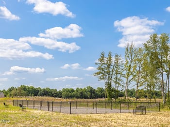 392 Peach Grove Way, Lillington, NC 27546