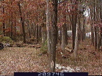 3920 Richardson St, Holly Springs, NC 27540