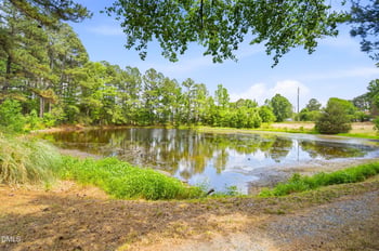 3924 Lewis Rd, Snow Camp, NC 27349