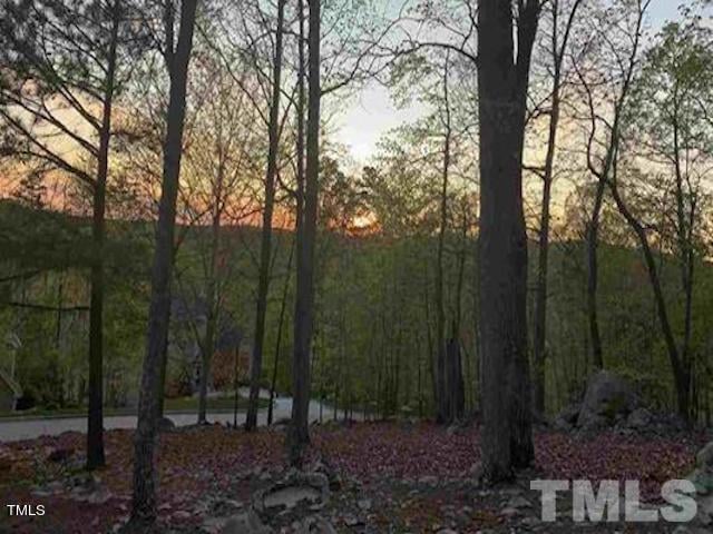 39410 Glenn Glade Lot 856, Chapel Hill, NC 27517
