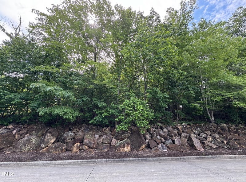 39412 Glenn Glade Lot 855, Chapel Hill, NC 27517