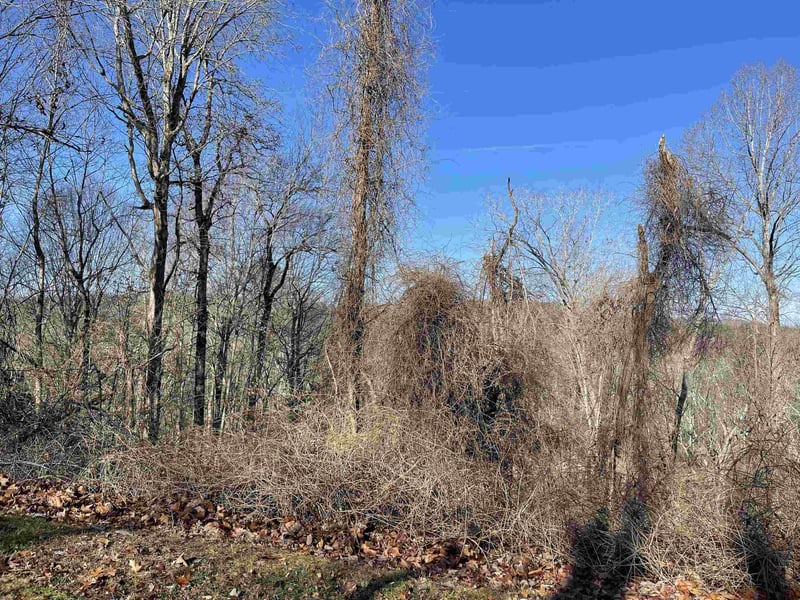 39417 Glenn Glade Lot 810, Chapel Hill, NC 27517