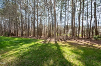 4 Duke Of Gloucester Cir, Durham, NC 27713