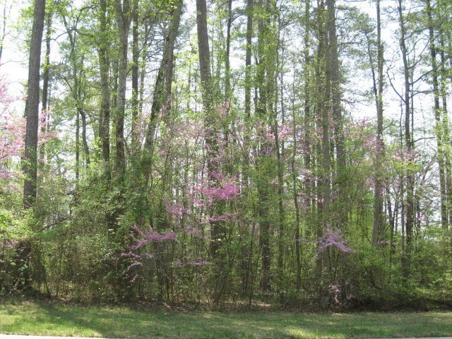 4 Shadow Moss Pl Lot 140, Durham, NC 27705