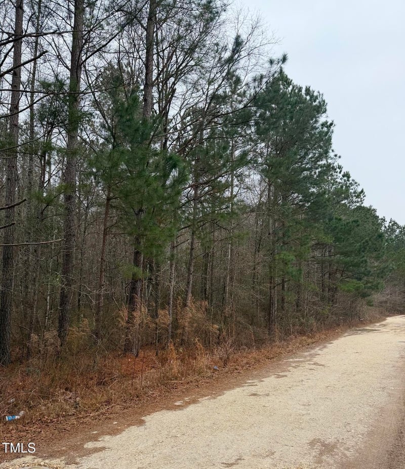 4 Titan Roberts Rd, Erwin, NC 28339