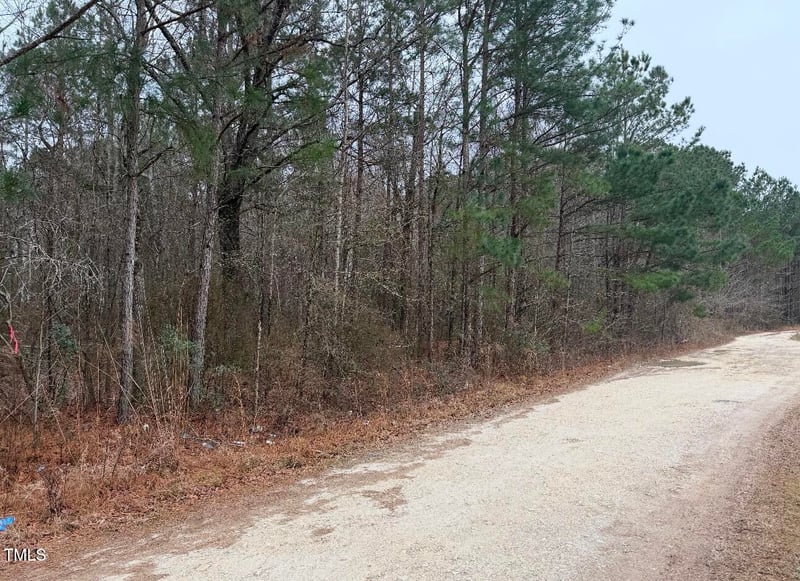 4 Titan Roberts Rd, Erwin, NC 28339