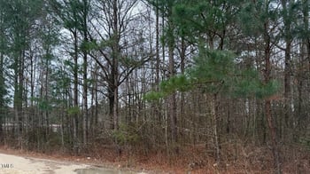 4 Titan Roberts Rd, Erwin, NC 28339