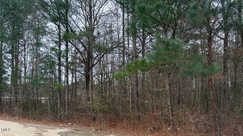 4 Titan Roberts Rd, Erwin, NC 28339