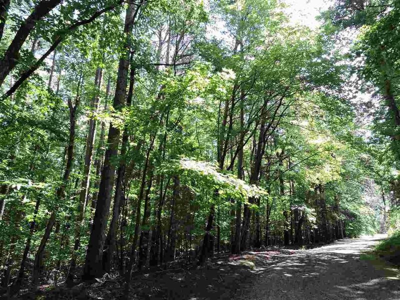 4.63 acres Decoy Dr, Roxboro, NC 27574