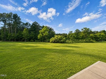 40 Little Sampson Dr Lot 18, Princeton, NC 27569