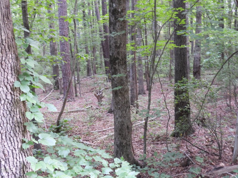 40 Ross Dr, Pittsboro, NC 27312