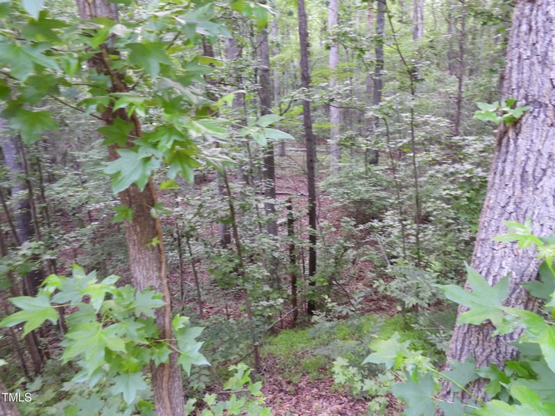 40 Ross Dr, Pittsboro, NC 27312