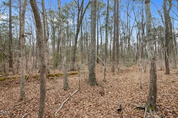 40 Ross Dr, Pittsboro, NC 27312