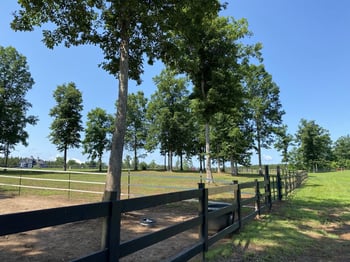 400 Arabian Dr, Middlesex, NC 27557