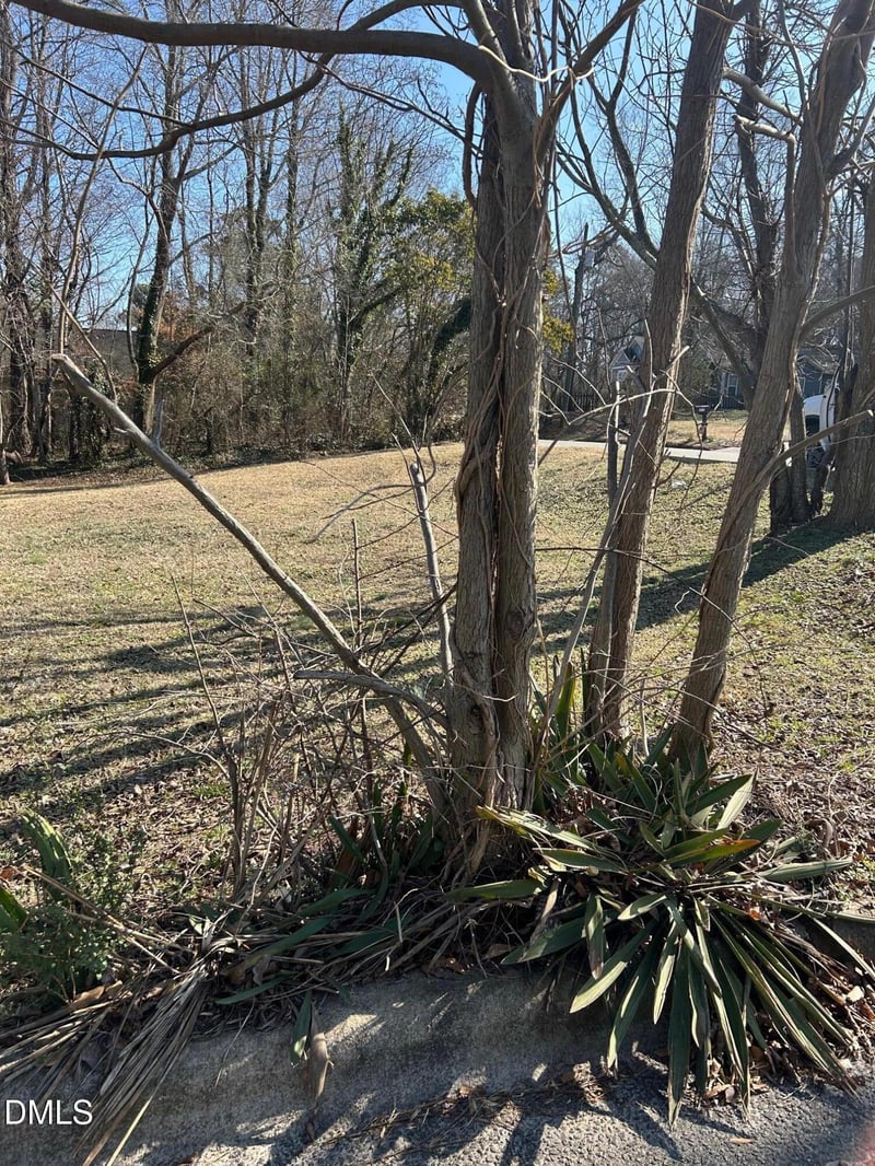 400 Hinton St Lot 30 & 31, Clayton, NC 27520