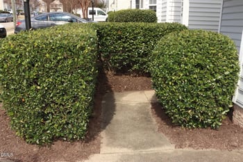 4004 Beaufain St, Raleigh, NC 27604