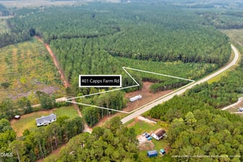 401 Capps Farm Rd, Hollister, NC 27844